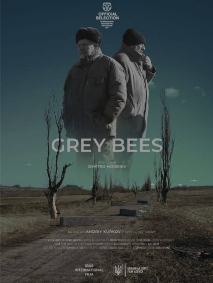 GREY BEES