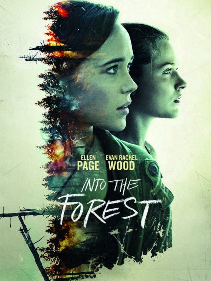 INTO THE FOREST