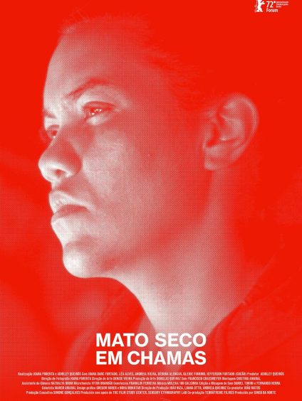 Mato Seco Em Chamas