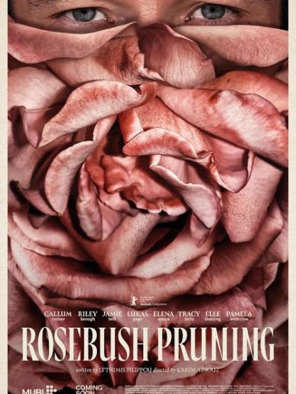 ROSEBUSH PRUNING