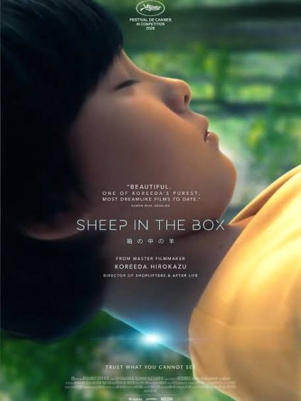 SHEEP IN THE BOX