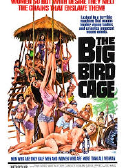 THE BIG BIRD CAGE