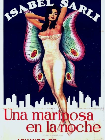 UNA MARIPOSA EN LA NOCHE