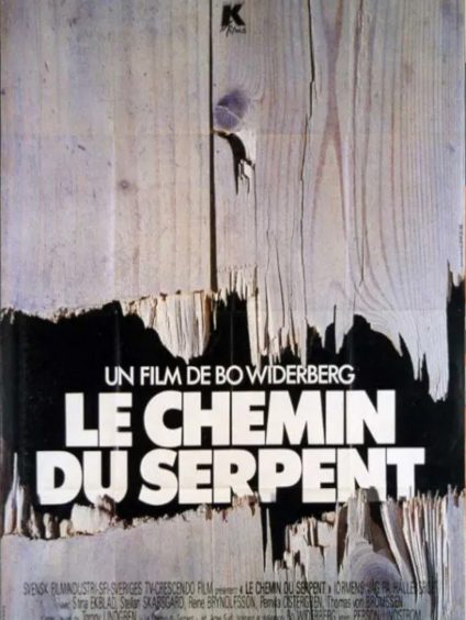 le chemin du serpent