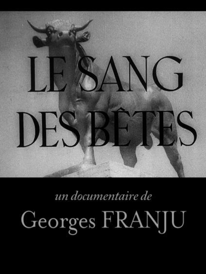 le sang des betes